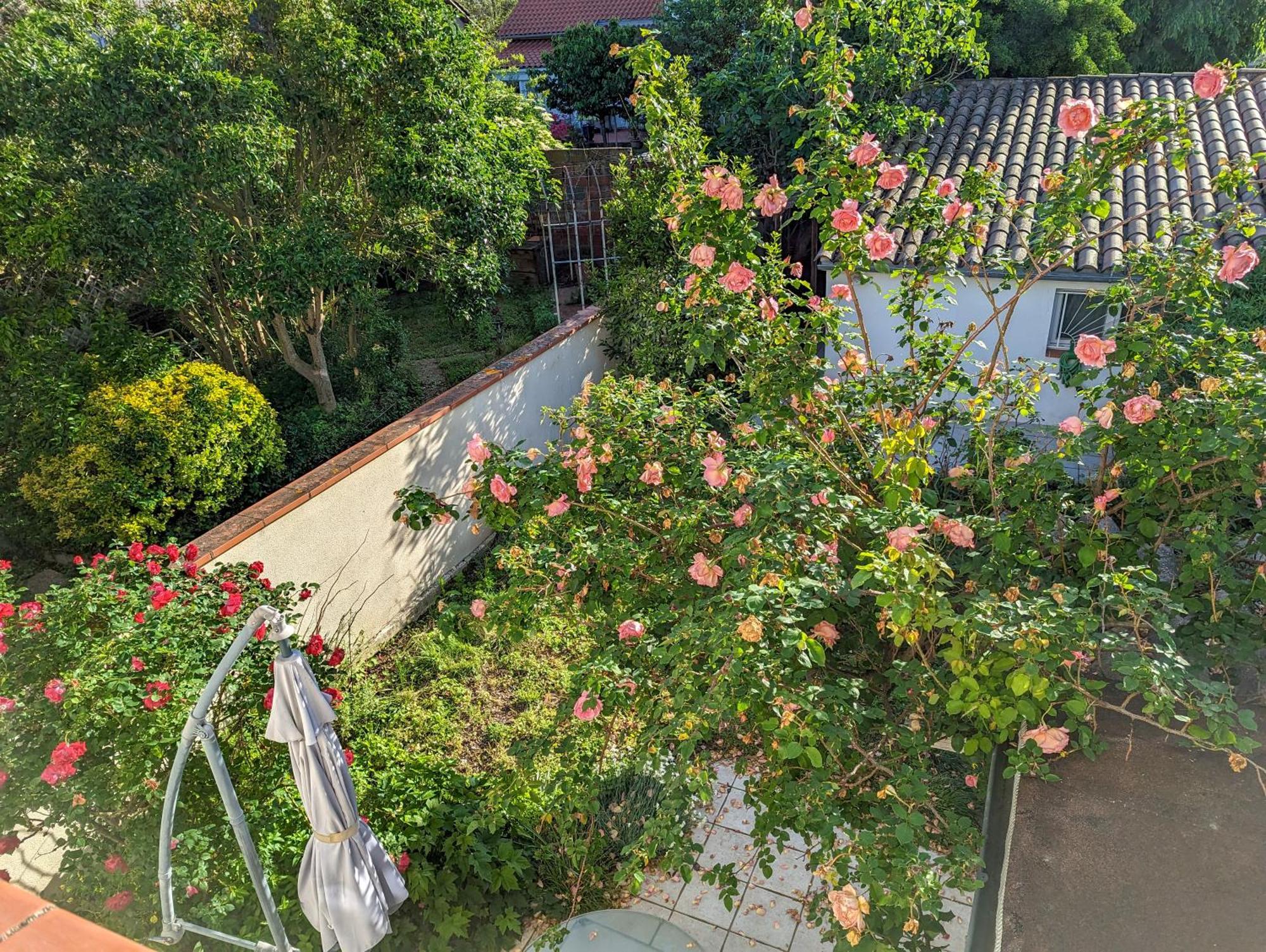 La Maison Calme Et Lumineuse Avec Jardin Toulouse Exterior foto